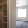 Walk-in closet with shelving
